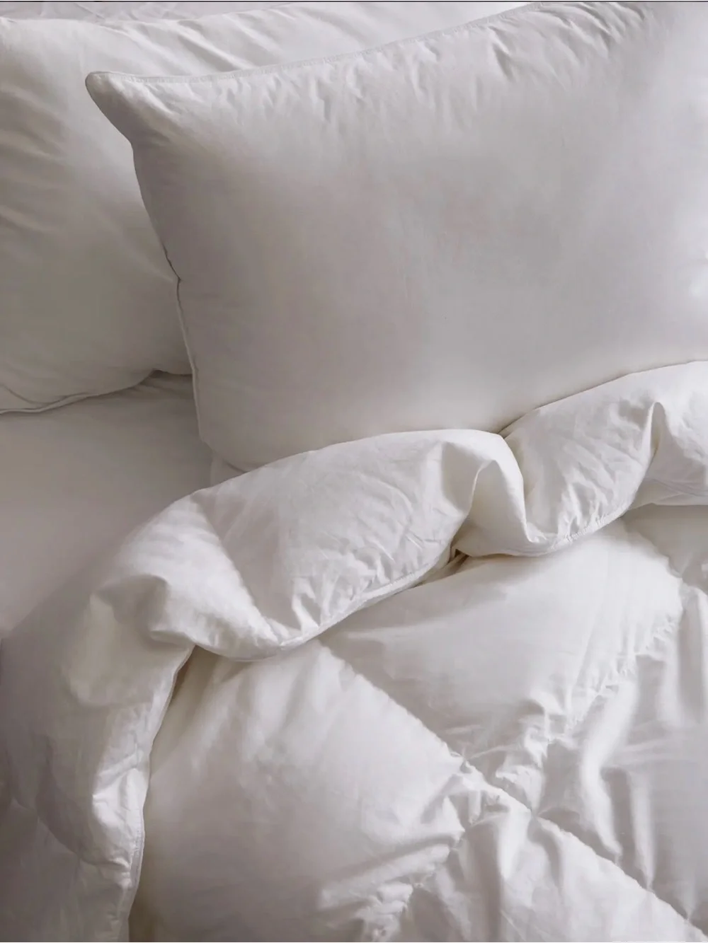 Quince | Premium Down Alternative Duvet Insert